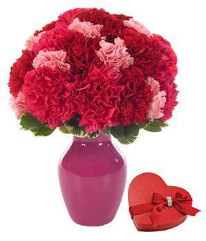 Sweet Carnations with Chocolates